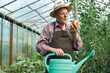 Farmer standing in greenhouse holding red tomato and watering can