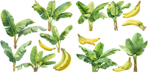 Watercolor banana tree clipart for graphic resources