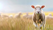 White lamb in field in front of other animals copy Cute little lamb in the front while other sheep is sleeping in the background, Generative Ai