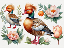 Cute Mandarina Ducks Watercolor Illustration, Pretty Birds Art