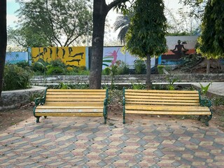 Park two Bench Chair, with plam Tree in park