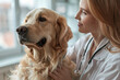 a woman vet doctor is patting a golden retriever in trustful friendship on pet hospital background.