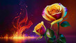 multicolor light color sepals rose background with little shade of the solid color with water drops lying on the background with space and a blaze of the fire on sepals  abstract gradient background 