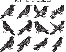 Set Of Cuckoo Bird Silhouette Vector Illustration