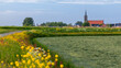 Historic church R.K. Parochie Heilige Bavo in Ursem city, Netherlands during spring time with colorful wildflowers.