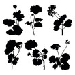 Geranium flower plant silhouette stencil templates