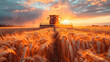 A combine harvester is transferring wheat into a trailer after the harvest, showcasing efficient agricultural practices.