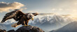 for advertisement and banner as Mountain Majesty An eagle soars over mountains showcasing freedom and grandeur. in Pet Behavior theme ,Full depth of field, high quality ,include copy space on left, No
