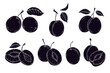 Set of silhouettes, stencils of summer plum fruits and fruit pieces.Vector graphics.