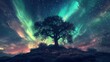 A tree is on a hill with a beautiful sky above it. The sky is filled with stars and auroras