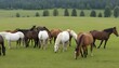 A-Herd-Of-Horses-Grazing-In-A-Pasture-