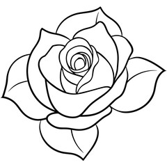  Flower vector illustration.

