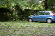 Feuilles d'arbres recouvrant le sol d'un parking et sur une voiture suite à une averse de grêle
