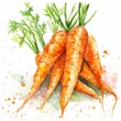 Watercolor clipart of a bunch of organic carrots, vibrant orange, on a white background