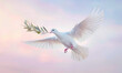 a white dove of peace in flight carrying a green olive branch against a background of a gentle pastel sky. Symbol of peace and pacifism