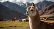Llamas Alpaca in  Andes Mountains Peru . Generative AI