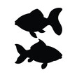 silhouette of a carp fish