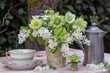 Arrangement mit Blumenstrauß mit Blüten Gewöhnlicher Traubenkirsche und Lenzrosen, vintage Porzellantasse und Kaffeekanne im Garten