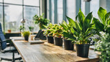 Modern office space with lush green plants in pots. Innovative startup company with green, ecofriendly environment with lush vegetation in workplace. Productive and healthy work place