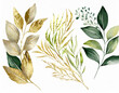 © Merlin - Set of herbal branch. green and gold leaves. Wedding concept. arrangements for greeting card or invitation design