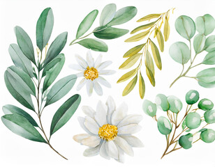 Wall Mural - Watercolor floral illustration set - white flowers, green gold leaf branches collection, for wedding stationary, greetings, wallpapers, fashion, background. Eucalyptus, olive, leaves, chamomile