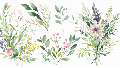 Wall Mural - Wild field herbs flowers. Watercolor floral collection set - bouquets, borders, frames. Illustration green leaves, branches.. Wedding stationery, wallpapers, fashion, backgrounds.