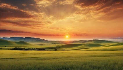 Wall Mural - sunset over the field