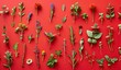 © volga - Variety of plants on a red background. The concept of botany and design.