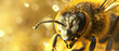 Honey bee anatomy study, compound eyes and wings in sharp focus, abstract background, macro photography.