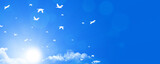 Fototapeta  - birds heavenly flying