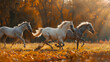 a captivating scene of three horses galloping together in a sunlit field