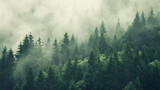 Fototapeta Krajobraz - Misty landscape with fir forest in vintage retro style 