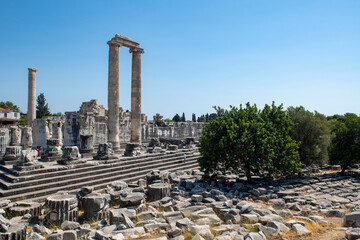 Wall Mural - Didyma Apollo Temple, one of the most important prophecy centers of the ancient world, is located in the city center of Didim district of Aydın Province