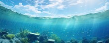Underwater Sea In A Blue Sunlight
