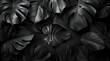 © fillmana - Abstract Black Tropical Plant Leaves Background. Nature wallpaper.