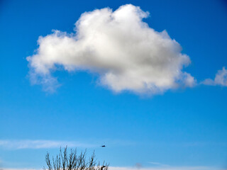 Poster - Summer clouds in the sky background