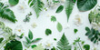 Various kinds of leaf and flower products on a white background are portrayed in a style that includes oil portraitures, organic modernism, aerial view, and nature-inspired imagery.