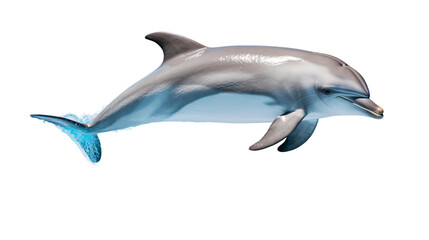 Wall Mural - Dolphin jumping isolated on transparent background cutout