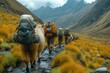 Trekking with Llamas Hikers trekking through mountains with llamas carrying supplies
