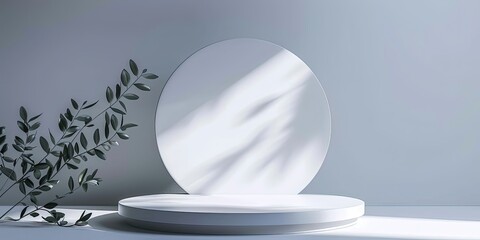 Poster - creative design, modern, white podium on gray background, table, olive branch, background, wallpaper