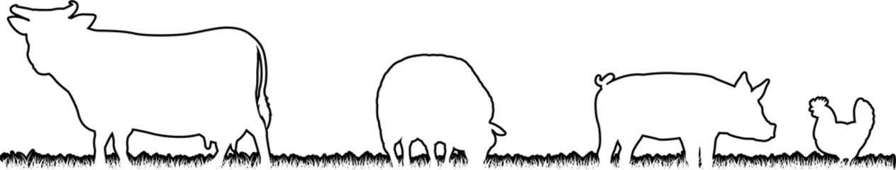 Farm Animals Silhouette Field Scene Landscape