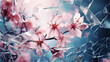 Cherry blossoms in bloom, symbolizing renewal and hope. Flowers with broken ice. Elegant pink petals in ice. Frosty natural winter or spring background