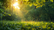 Defocused Green Trees in Forest or Park with Wild Grass and Tranquil Ambiance