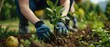 Green Fingers for a Greener Future: Urban Reforestation Effort. Concept Community Green Spaces, Tree Planting Initiatives, Eco-Friendly Gardening Practices, Sustainable Urban Development