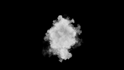 Poster - Smoke element black background. Isolated steam sphere footage for compositing. Realistic 3d render simulation. White gas coming from center.