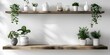 Elevated Memories A Harmonious Wall Shelf Display of Delightful Botanicals and Serene Accents