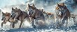 Team of sled dogs running through snowy landscape, dynamic and powerful, conveying endurance and teamwork