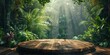 Serene Jungle Clearing with Wooden Platform