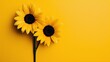 Two bright yellow sunflowers against a yellow background, still life, photography, interior design, minimalist