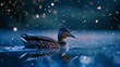 Duck gliding on a river, Milky Way reflection, serene night, soft glow, eye-level shot.clean sharp
